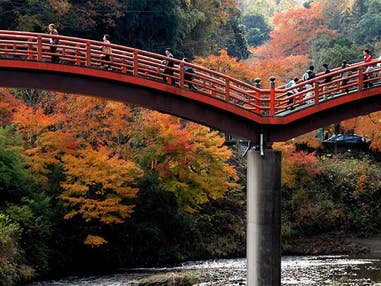 ■【千葉】この時期だけのコラボレーション!東京ドイツ村イルミネーション×千葉屈指の紅葉!養老渓谷!満腹満足♪不滅の人気!海鮮浜焼食べ放題♪