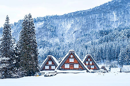 【JR広島駅・福山駅発着】立山黒部アルペンルートと黒部峡谷鉄道トロッコ電車 上高地をめぐるまんてん旅3日間　～往復新幹線グリーン車利用（JR広島駅・JR福山駅⇔JR新大阪駅間）～1