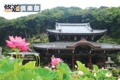 【広島駅発着／新幹線利用】花と緑　癒やしのガーデンめぐり日帰り【京都府立植物園＆三室戸寺】1