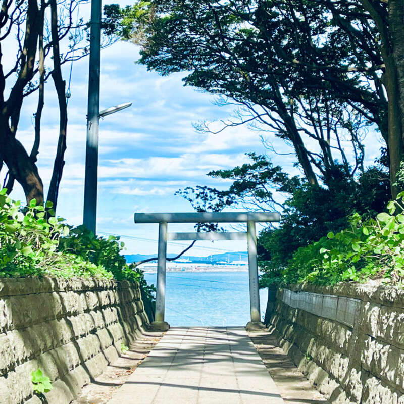 【福島県内発】 国営ひたち海浜公園アイスチューリップと 大洗磯前神社・酒列磯前神社　初詣（日帰り）3