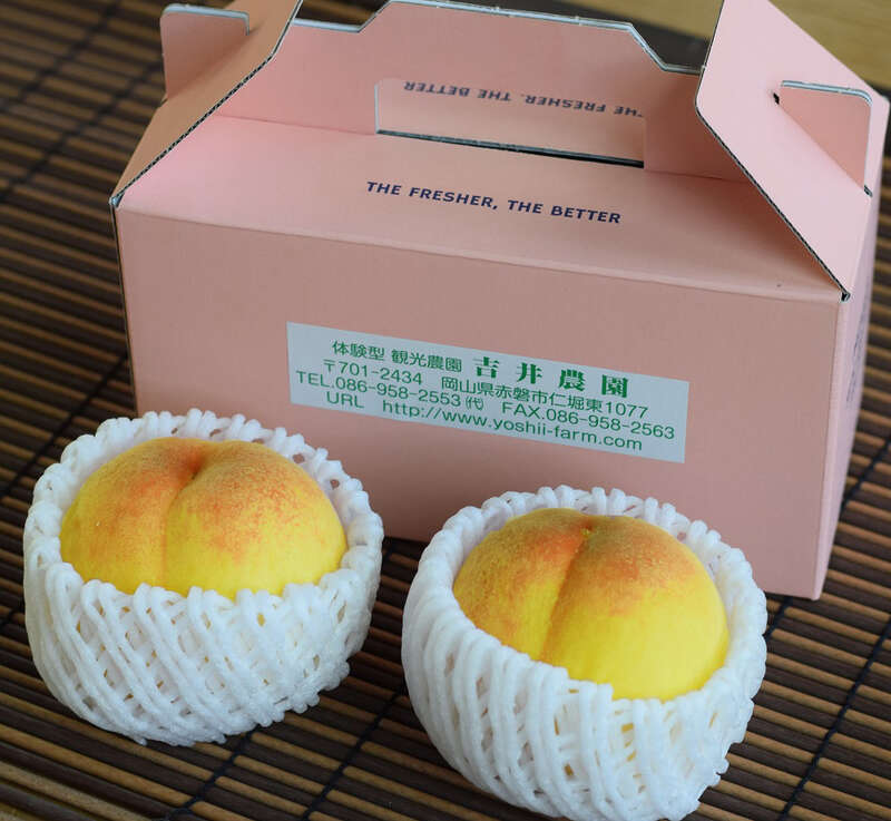 【兵庫エリア発】 秋を先取り！岡山早松茸料理と八塔寺ふるさと村2