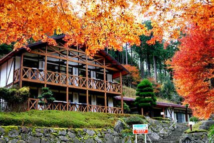 【愛媛県内発】 森と渓谷に抱かれる素敵なホテル「ネイチャーホテル・ナルカワ」でランチタイムと紅葉の滑床渓谷 日帰り