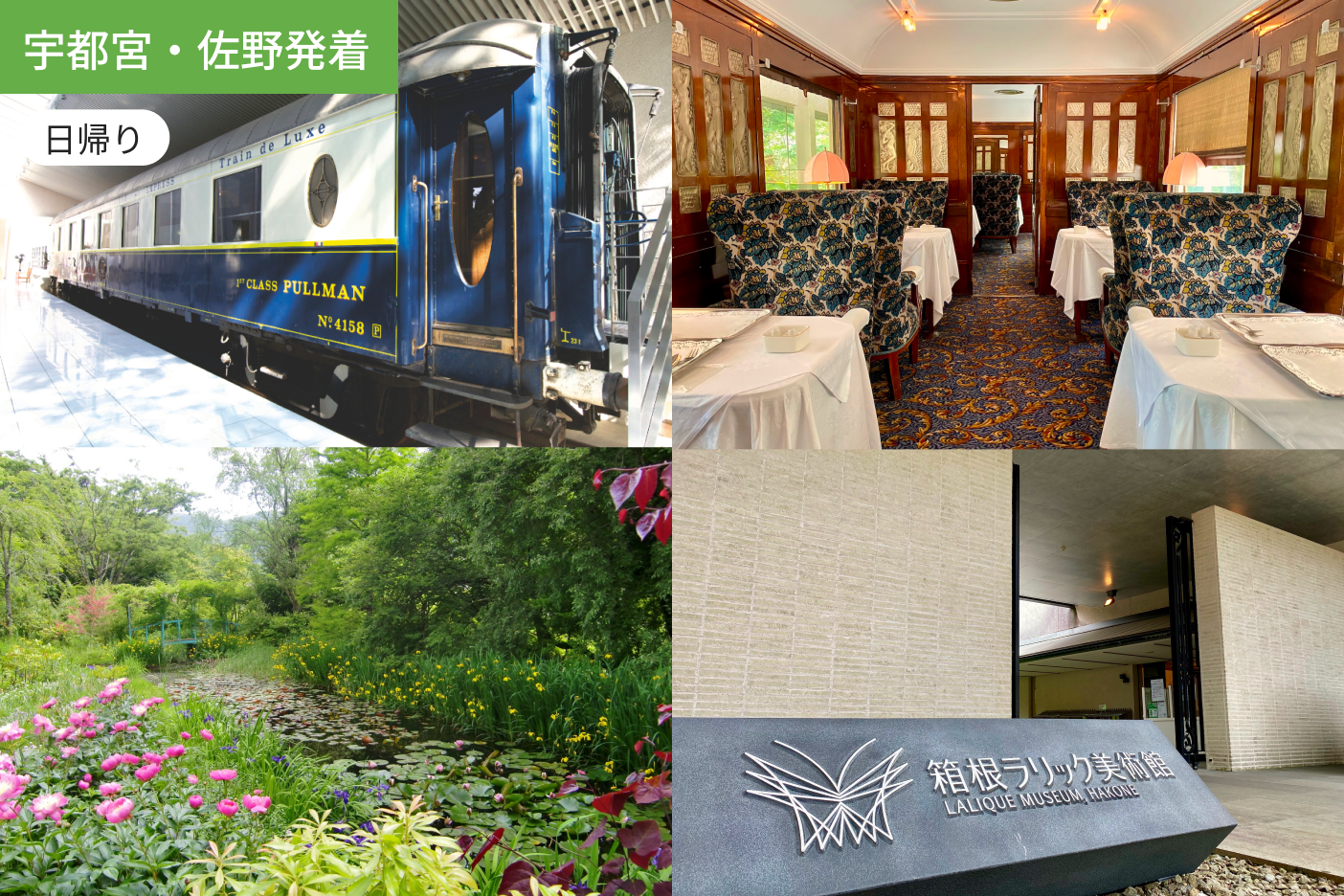 【宇都宮・佐野発着】非日常を楽しむ美術館鑑賞と特別列車ランチ1