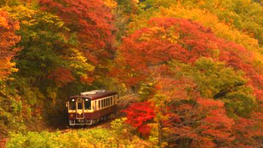 ＜Web割対象商品＞【キングツアーバス旅】ローカル列車に揺られてもみじ狩り！わたらせ渓谷鐵道と高津戸峡 感動の富弘美術館〔明大前・新宿発〕1
