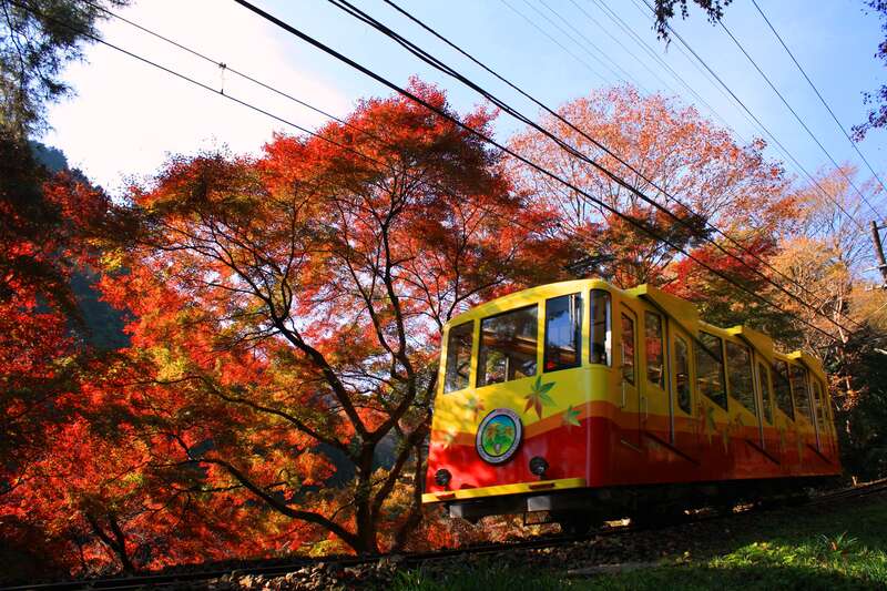 【栃木県内発】 紅葉に染まる高尾山ハイキング日帰り2