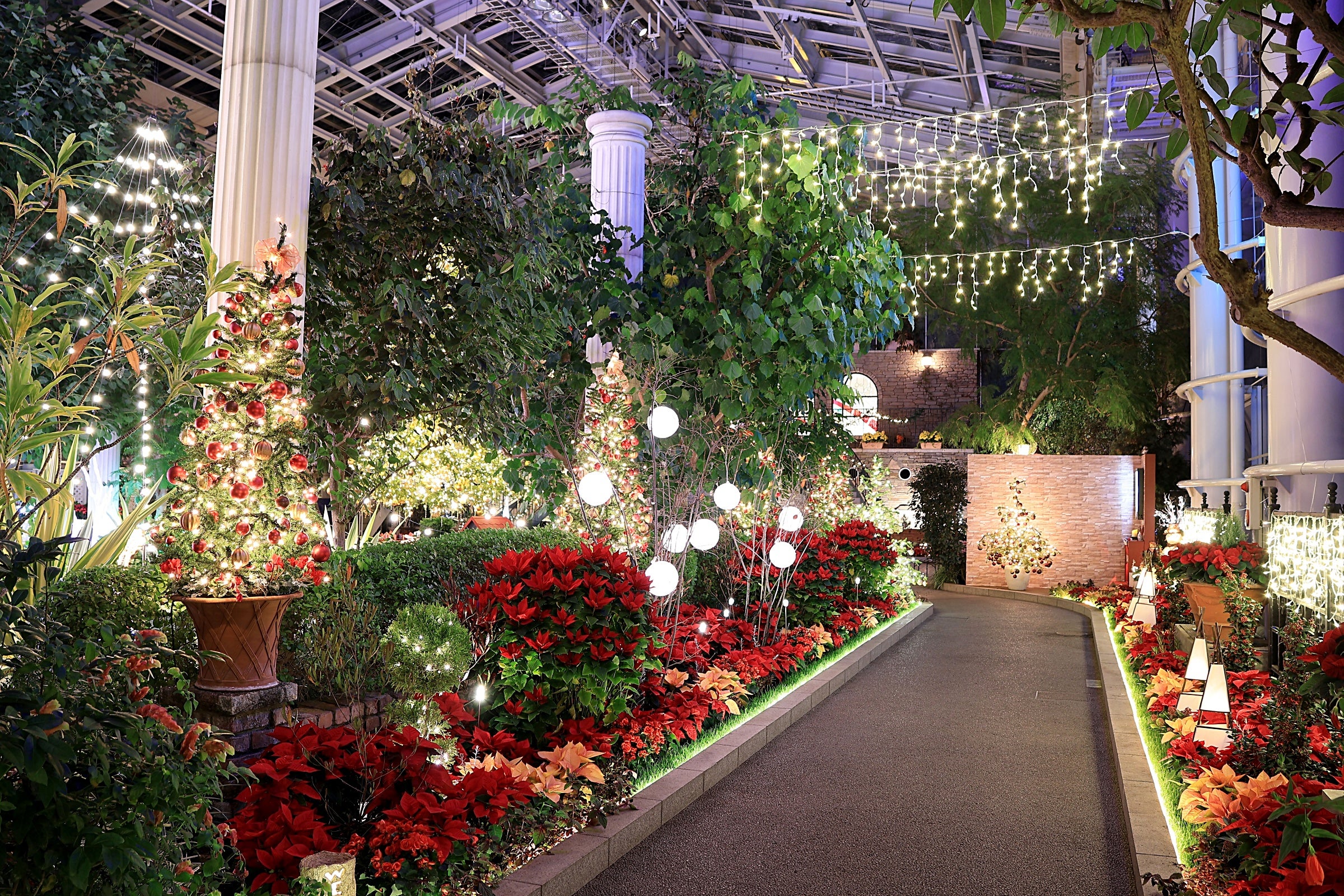 【静岡県内発】 花々に囲まれたクリスマスを♪約100万球のはままつフラワーパークイルミネーション・花いっぱいの楽園「掛川花鳥園」とうなぎパイファクトリー1