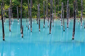 神戸空港　発
世界自然遺産知床・網走・阿寒湖を巡る2
