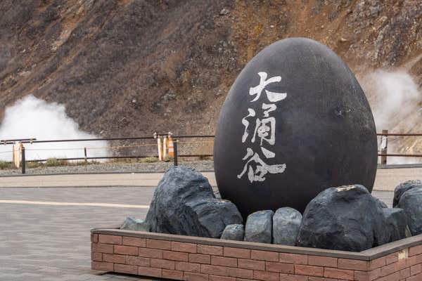 『空と湖の2つの乗り物に乗ってめぐる！箱根の紅葉旅　2025年4月にオープン！絶景「大涌谷ちきゅうの谷」』【蒲田　出発】1
