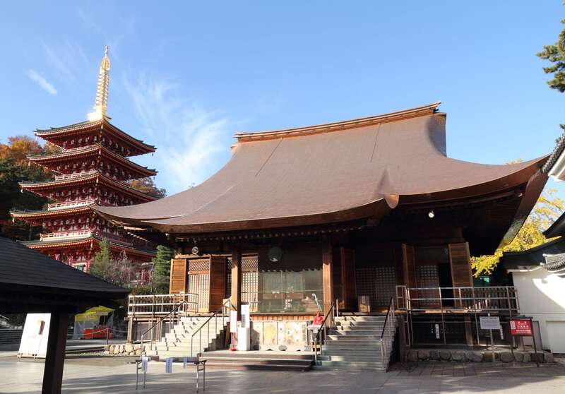 【群馬県内発】 昭和記念公園コスモスとドラマの舞台・深大寺　高幡不動尊　日帰り3