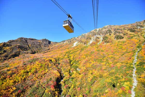 【八日市・彦根・米原・長浜発】 立山黒部アルペンルート横断　２日間2