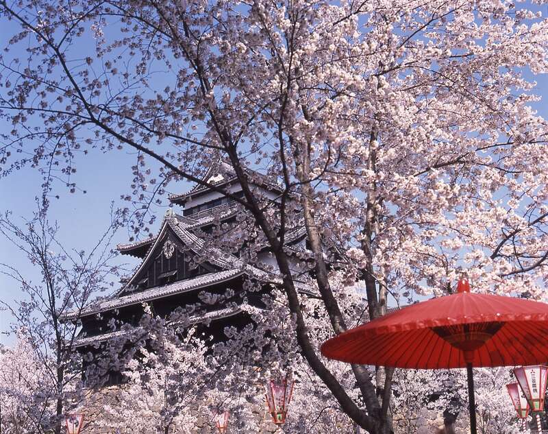 【新大阪・新神戸・西明石・姫路・岡山駅発】 出雲大社、松江城山公園、山陰さくらめぐり２日間1