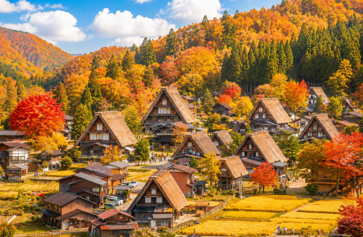 [名古屋発]日本の古い町並みがの多く残る高山とユネスコ世界遺産登録の白川郷へお立ち寄り 昼食は飛騨牛を豪快にドーン！アツアツの陶板で焼き上げる「飛騨牛焼肉ランチ」をご用意！歴史的文化探訪の日帰りツアー(英語ガイド付)1