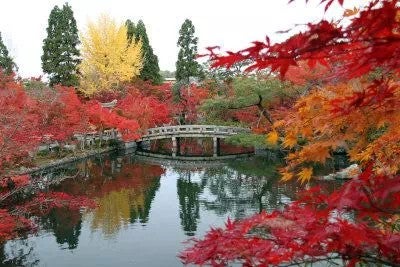 【静岡県内発】 絶景の京都！東福寺・南禅寺・永観堂・嵐山と食い倒れの街大阪　2日間2