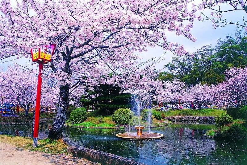 【愛媛県内発】 桜色に染まる佐賀de春さがし　２日間1