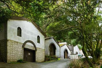 【バスハイク／天神発着／添乗員同行】 ほとめきの街 久留米 巨峰ワイナリー・紅乙女酒造 千光寺のあじさい観賞 森のレストラン「HEURIGE(ホイリゲ)」ランチ