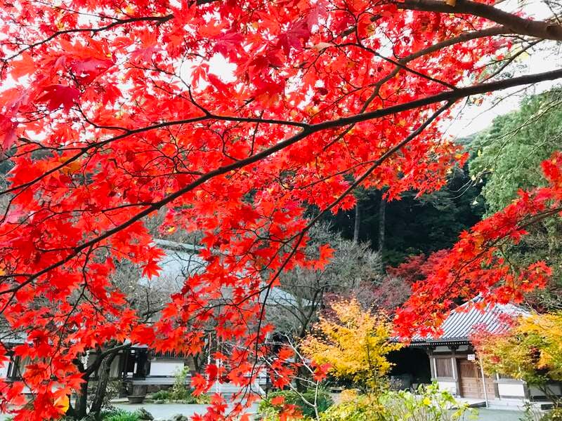 【大分・かんたん・北浜・別府発】 漁港食堂で食す！ガツンと新鮮漁港めし＆ちょっとDeepな福岡の魅力深発見の旅　日帰り【秋のよかバス特集】2
