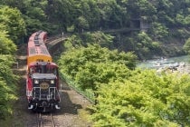 【豊田発】＊日帰り昼食付＊『嵯峨野トロッコ列車と京の世界遺産＆春の嵐山』2