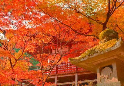 もみじの両子寺と黄金色の富貴寺と亀の井ホテル別府 湯けむりランチバイキング