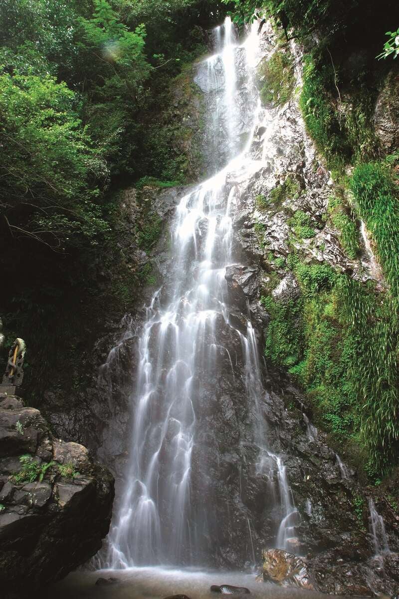 【大分・かんたん・北浜・別府発】 よみうりの土用は牛の日！！絶品佐賀牛＆うなぎ釜めし 夏のスタミナ飯と清水の滝「カルピス風鈴」　日帰り2