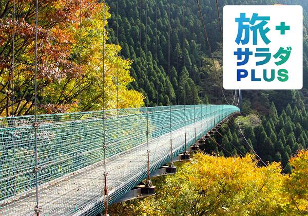 《旅サラダプラス》紅葉美しい秘境杣の大吊橋と日向ダムのハート岩1