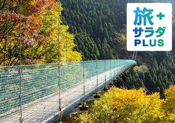 《旅サラダプラス》紅葉美しい秘境杣の大吊橋と日向ダムのハート岩