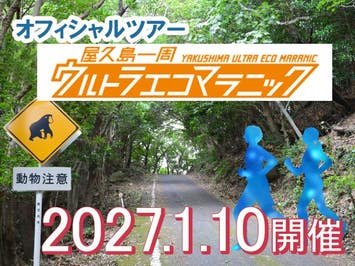 【鹿児島発】1/9出発【屋久島一周ウルトラ“ECO”マラニック参加に最適ツアー】往復航空機利用　元気プラン　≪3日目に縄文杉トレッキング≫宿泊先を自由に選べるチョイスプラン　3泊4日1