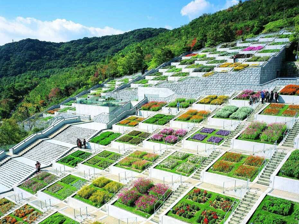 本場・淡路島！旬のいちじく狩り食べ放題&1パックお持ち帰り♪【三日市・河内長野・富田林・藤井寺発】3