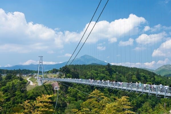 桜彩る九州へ！博多＆別府温泉２泊３日3