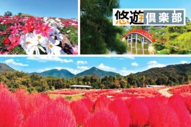 【広島駅新幹線口・不動院バス停・中筋(にしき堂前側道)・福山SA発着/日帰り】花と緑 癒やしのガーデンめぐり【中津万象園&国営讃岐まんのう公園】