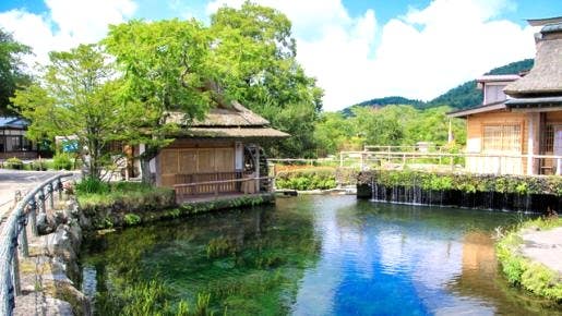 <Web割対象商品>【キングツアーバス旅】【9・10月】どっさどっさ㏌フルーツ王国山梨・神秘の湧水 忍野八海~シャインマスカット食べ放題&1房狩り~〔秋川・京王八王子発〕3