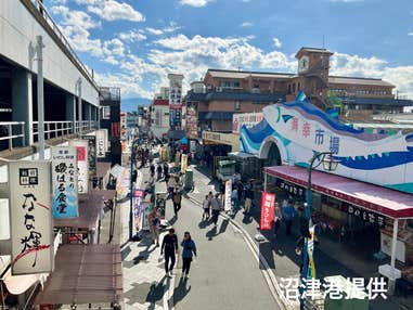 【新宿発】海鮮!明太子!わさび!静岡うまいもの巡り♪『沼津港🌊』&めんたいパーク・わさびミュージアムと開運『三嶋大社』⛩日帰り旅バスツアー
