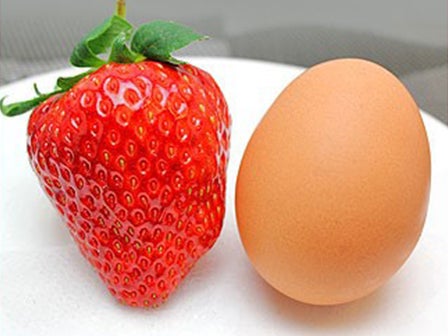 中部発　日帰り　おちょぼさん詣りと糖度１３度の「奇跡のいちご」美人姫のいちご狩り2