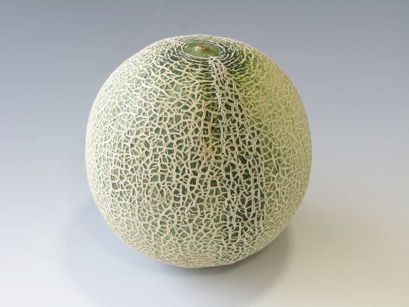 【阪神地区発】 母の日ミステリー　日帰り2