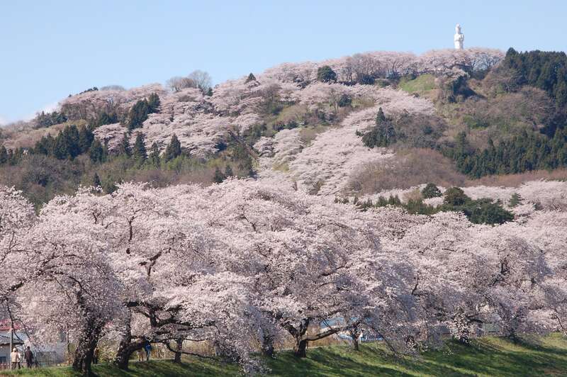 【新千歳空港発】 春の南東北15景　桜の名所の城・城郭めぐり、一度は行きたい！絶景・名所と 会津磐梯山麓　沼尻元湯・中ノ沢温泉、オールインクルーシブのお宿かみのやま温泉（3日間）1
