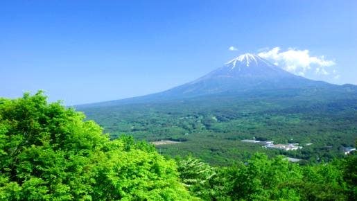 ＜Web割対象商品＞【キングツアーバス旅】【8月】どっさどっさ㏌フルーツ王国山梨・富士山五合目～マスクメロン1玉＆シャインマスカット1房お持ち帰り～〔多摩センター・京王八王子発〕3