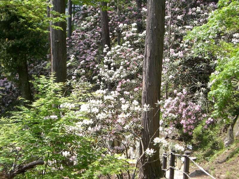 【宇部新川・小野田・厚狭発】十可苑一般開放と古湯温泉ONCRIで過ごす優雅な休日　日帰り3