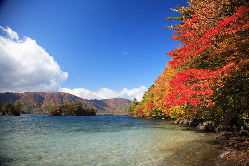 【青森・弘前エリア発】 十和田湖・奥入瀬渓流と蔦沼・中野もみじ山の紅葉（日帰り）2