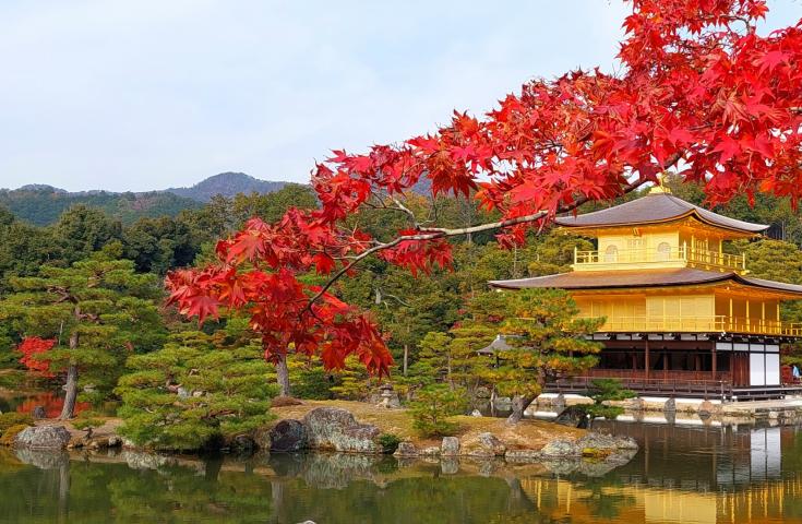 [難波/京都発]世界遺産古都京都の文化財巡り！昼食は黒毛和牛神戸牛すき焼き鍋をご堪能！金閣寺・嵐山・清水寺など京都の有名観光地をいいとこ取りツアー！(英語ガイド付)2