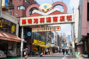 【宇都宮・佐野発着】どこか懐かしい東京へ―巣鴨と柴又、築地フリー散策の旅3
