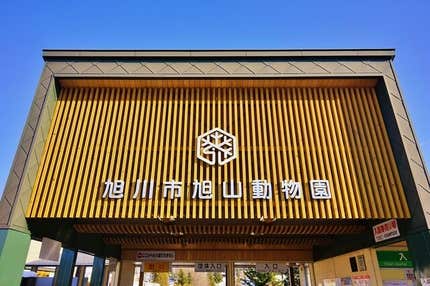 『期間限定!夜の旭山動物園120分滞在 北竜町約200万本のひまわりの里・美瑛 神秘の青い池』【札幌北口発】