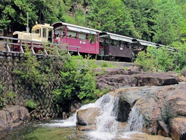 ■名古屋発　赤沢森林鉄道トロッコ列車とブドウ＆梨狩り！秋の5つの味覚のお土産付き！1