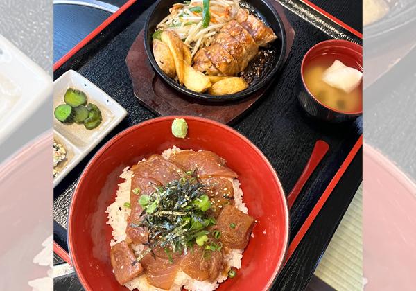 [北九州発] 四浦半島の河津桜と吉野梅園とメバチマグロ丼＆鮪ステーキ2
