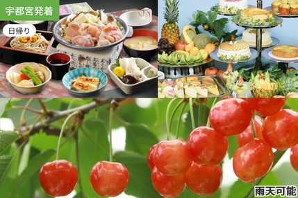 【宇都宮発着】もぎたてさくらんぼとフルーツケーキバイキング満喫【昼食付:和定食とフルーツケーキバイキング】/ WEB割引5%引き