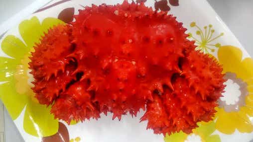 【郡山・須賀川・白河エリア発】 いつもありがとう！母の日ミステリー2026（日帰り）