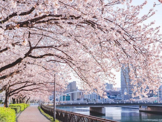 【福岡オープントップバス】 3月27日(木)・28日(金)・29日(土)限定　◆15:00発◆ 春の北九州ぐるっと周遊ツアー ～絶景！関門海峡と門司港レトロを望むオーシャンビューコース～3