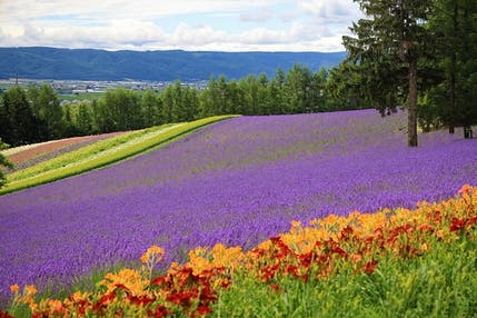 大自然を満喫！道央・道東ハイライト５日間