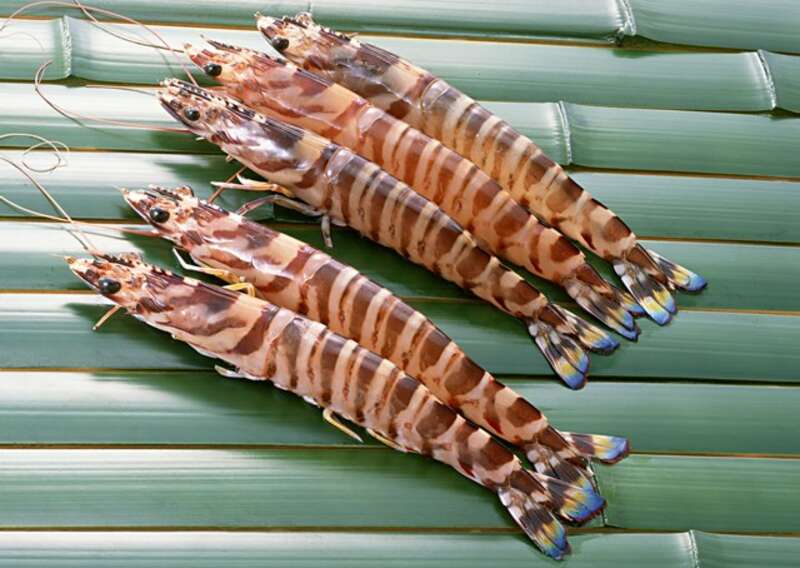 【呉・阿賀発】唐戸 旅の大総力祭！末広がりで八つのおもてなし♪　日帰り2