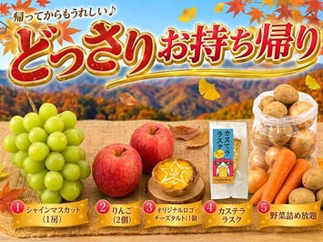 ■【群馬】オリオンツアー５０周年謝恩♪＜第3弾＞秋のどっさり群馬！希少な「ぐんま名月」りんご狩り食べ放題＆野菜の詰め放題＆シャインマスカットお土産付き！さらに上州Ｗ紅葉名所「諏訪峡」×「吹割の滝」へ！