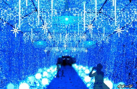 【新宿発】550万球の光が織りなす「時之栖イルミネーション」！！　いちご狩り食べ放題＆昼食弁当付き！話題のグルメスポット熱海で食べ歩きも満喫♪　日帰りバスツアー