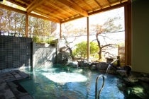 1名参加ＯＫ！【高浜・刈谷・知立発】＊１泊２食付＊心揺さぶる、夏の情熱と熱気。日本の伝統と花火の旅　『伊東温泉夢花火』3